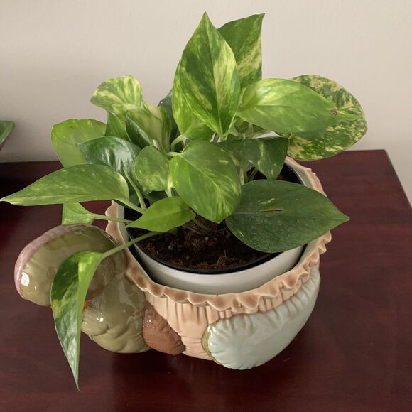 Vintage 1987 Duck/Goose Ceramic Planter Signed REHM Tan/Green/Orange 7" X 6" - Picture 12 of 12